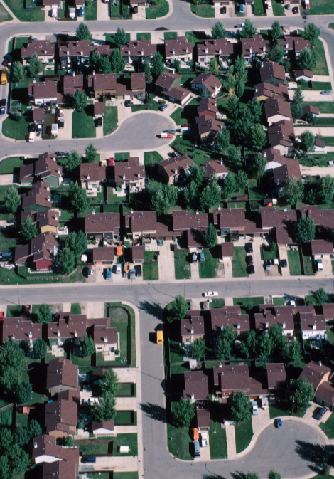 cropped-neighborhood.png